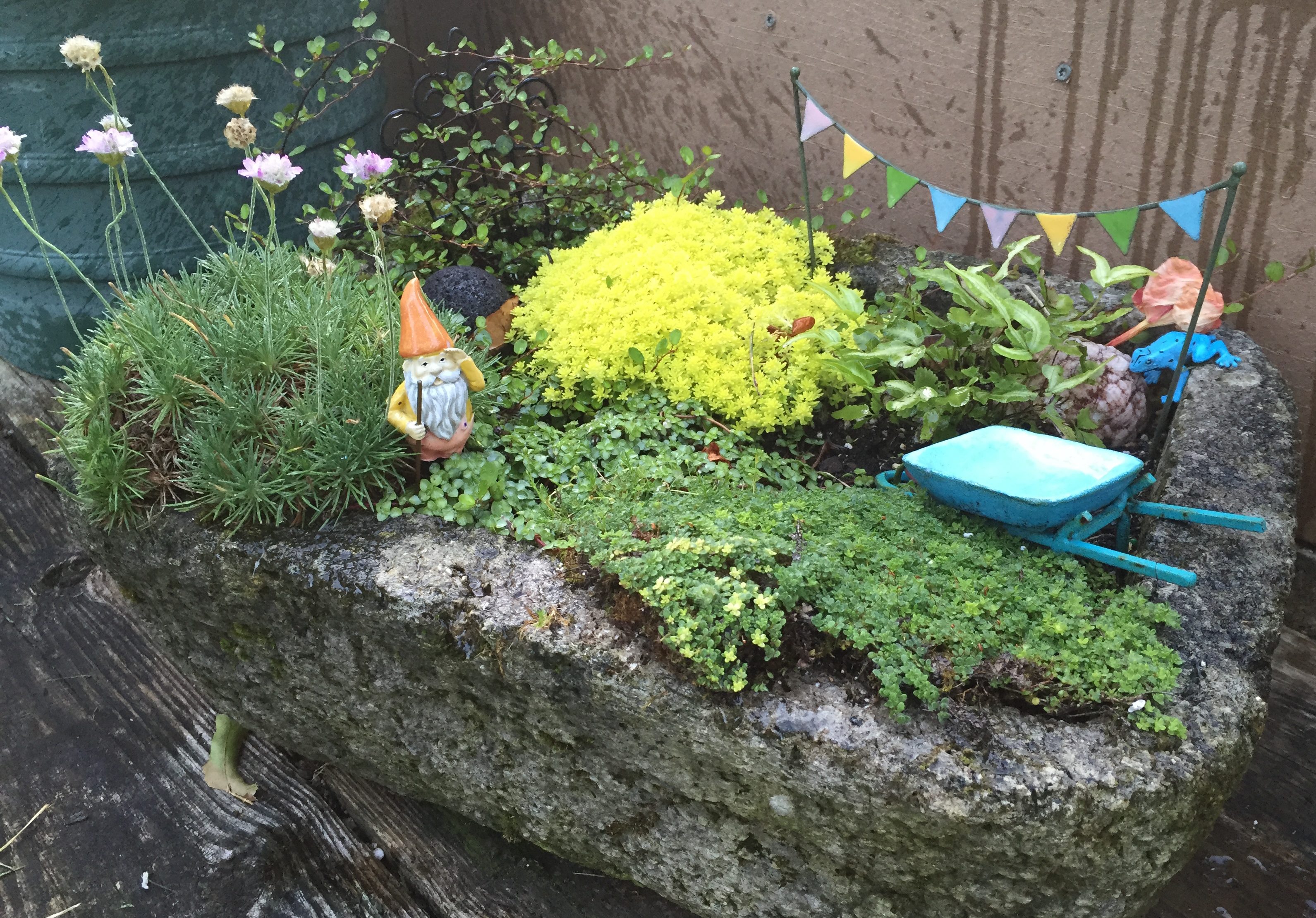 fairy garden