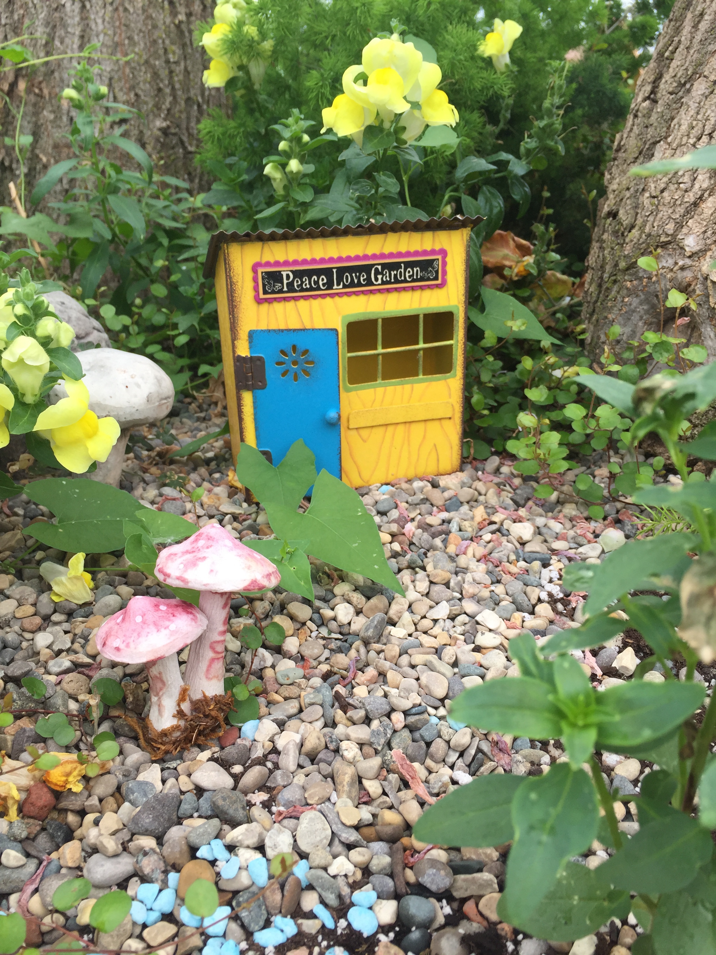 fairy garden fun