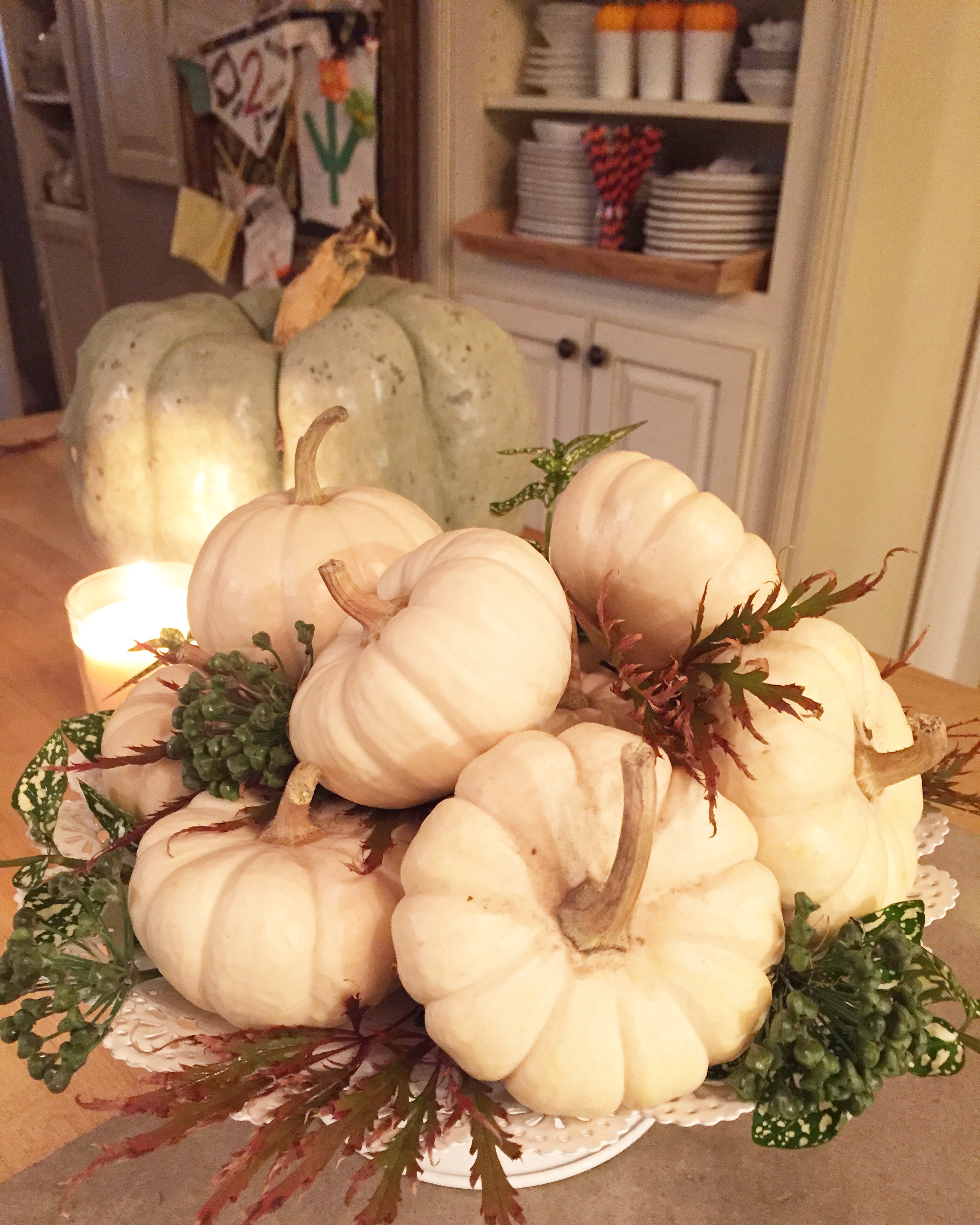 mini gourds