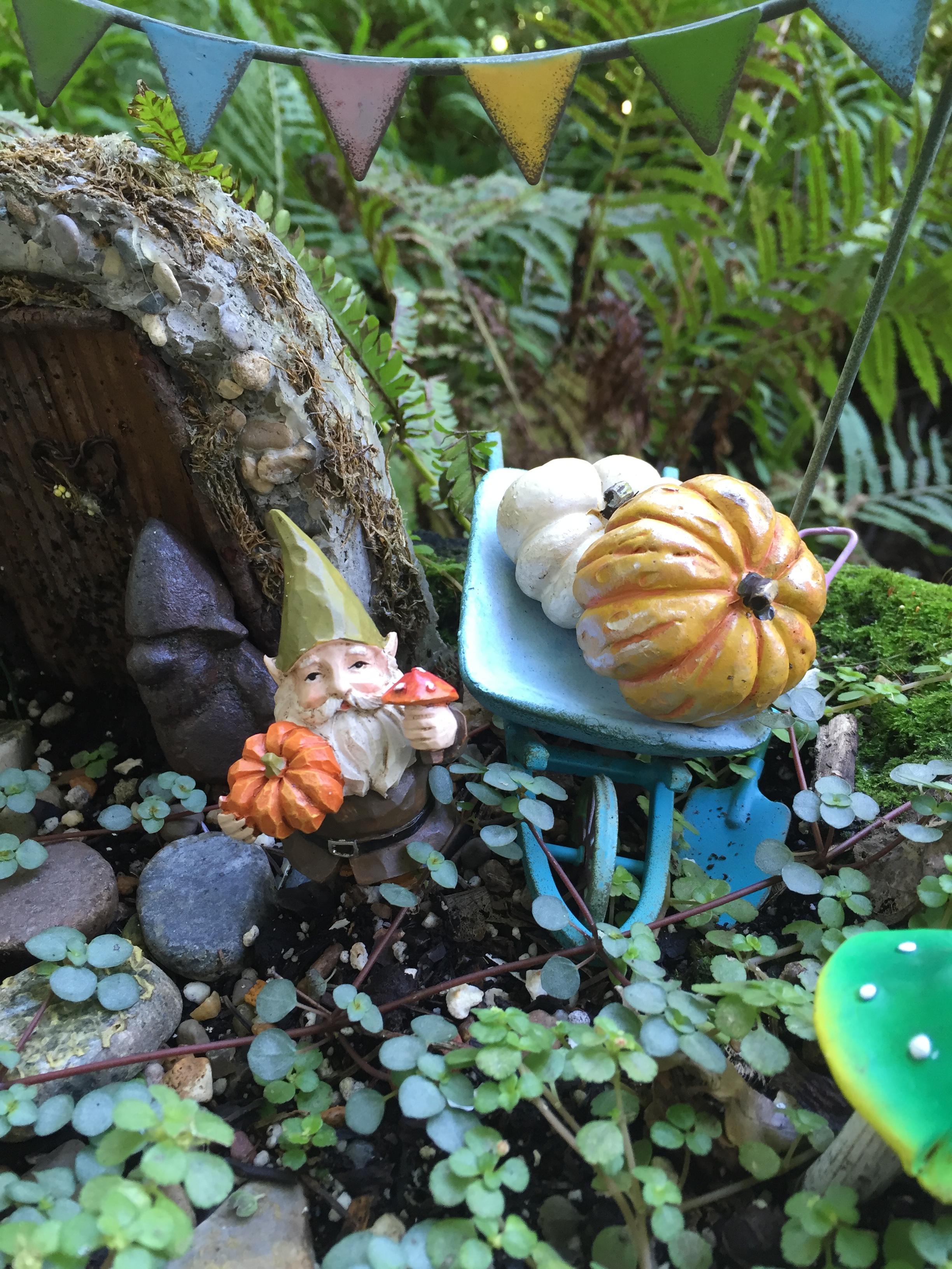 gnome garden