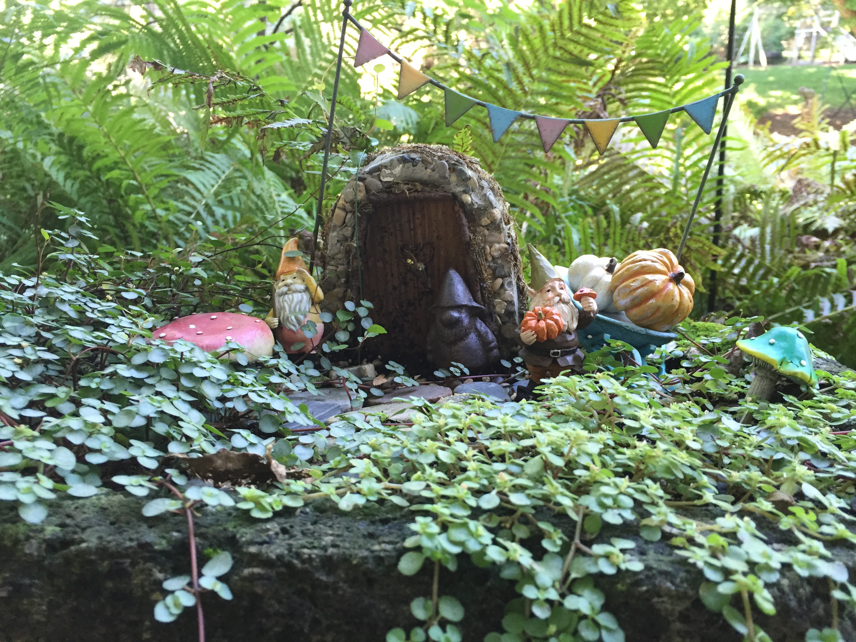 fall gnome garden