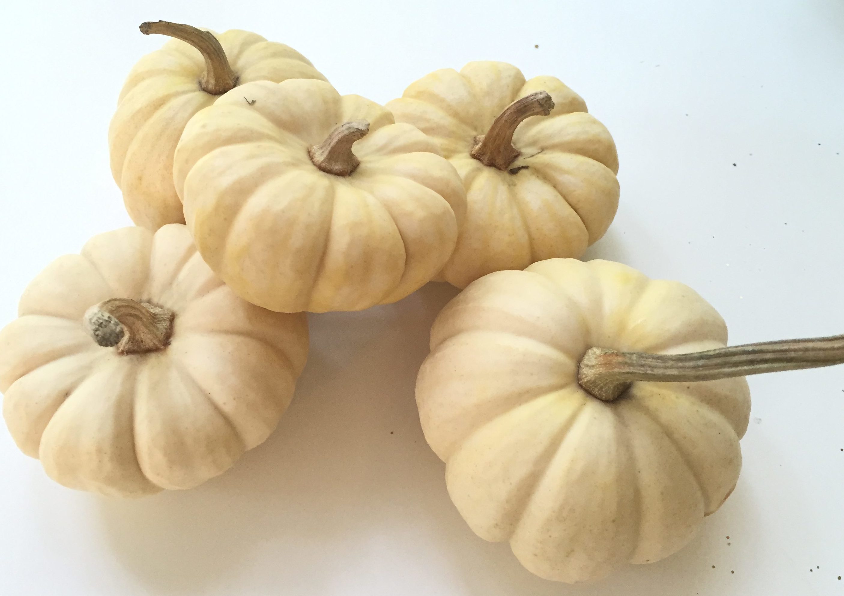 mini gourds