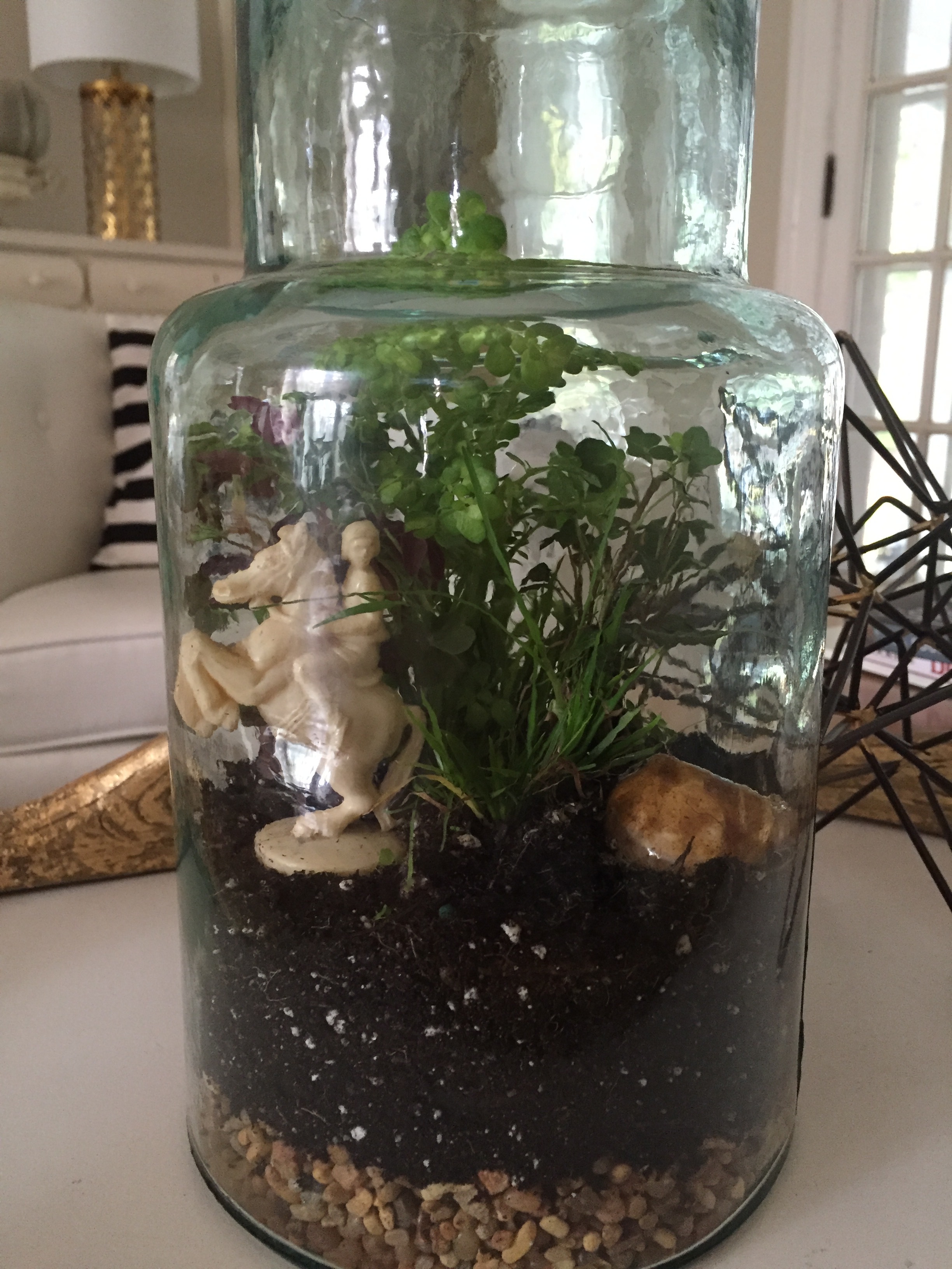 terrarium