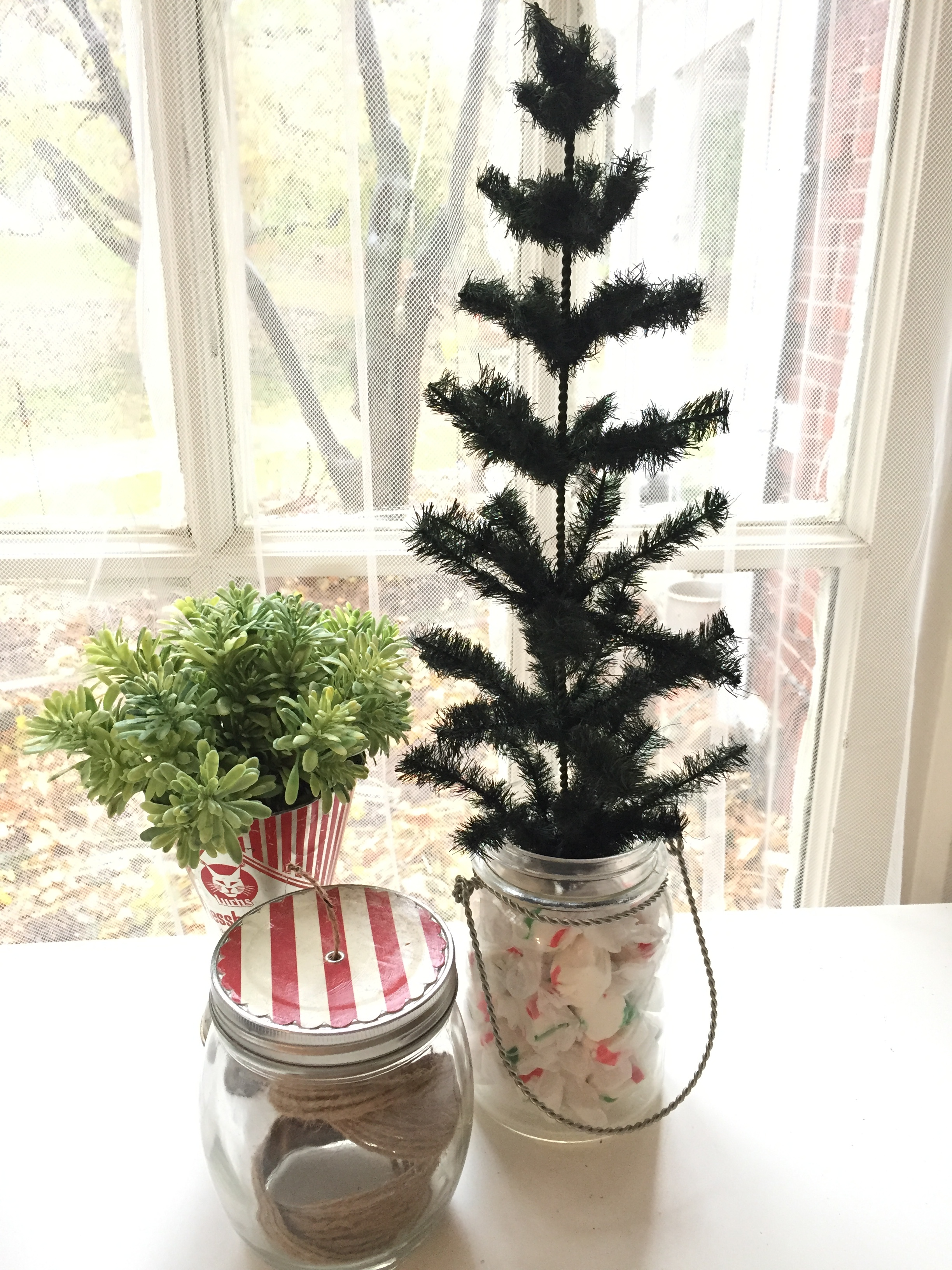 tree in jar