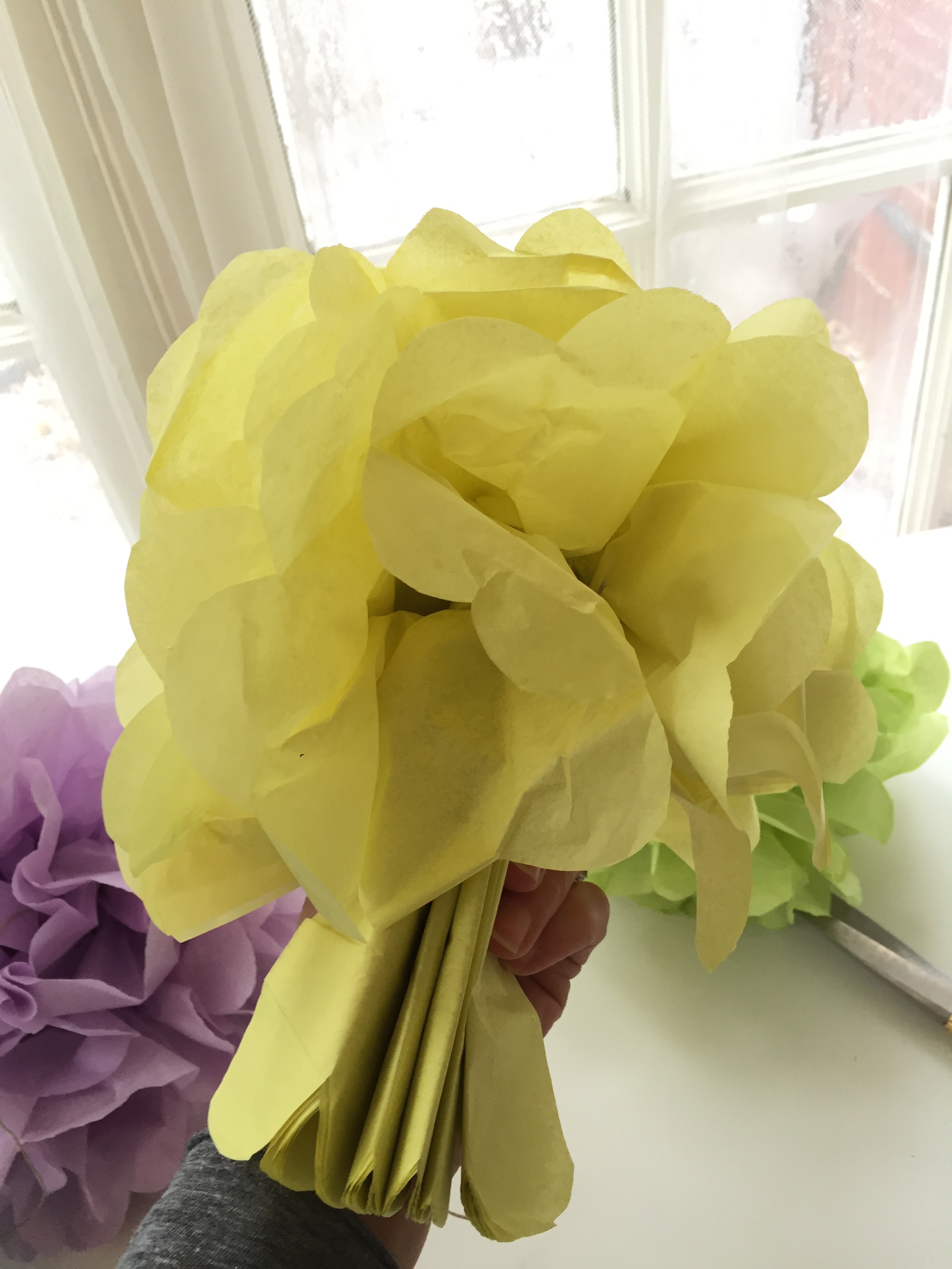 DIY tissue poms