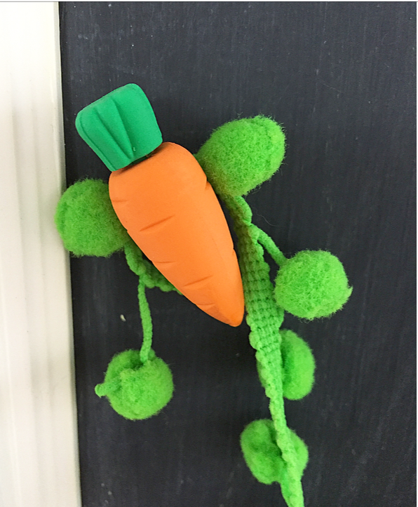 carrot magnet