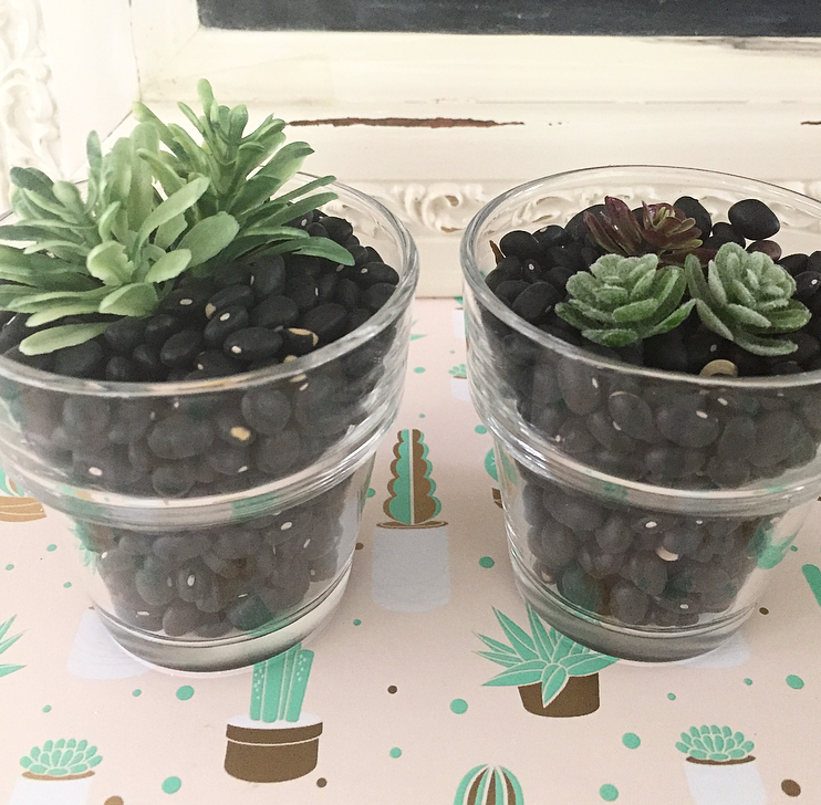 DIY succulent pots