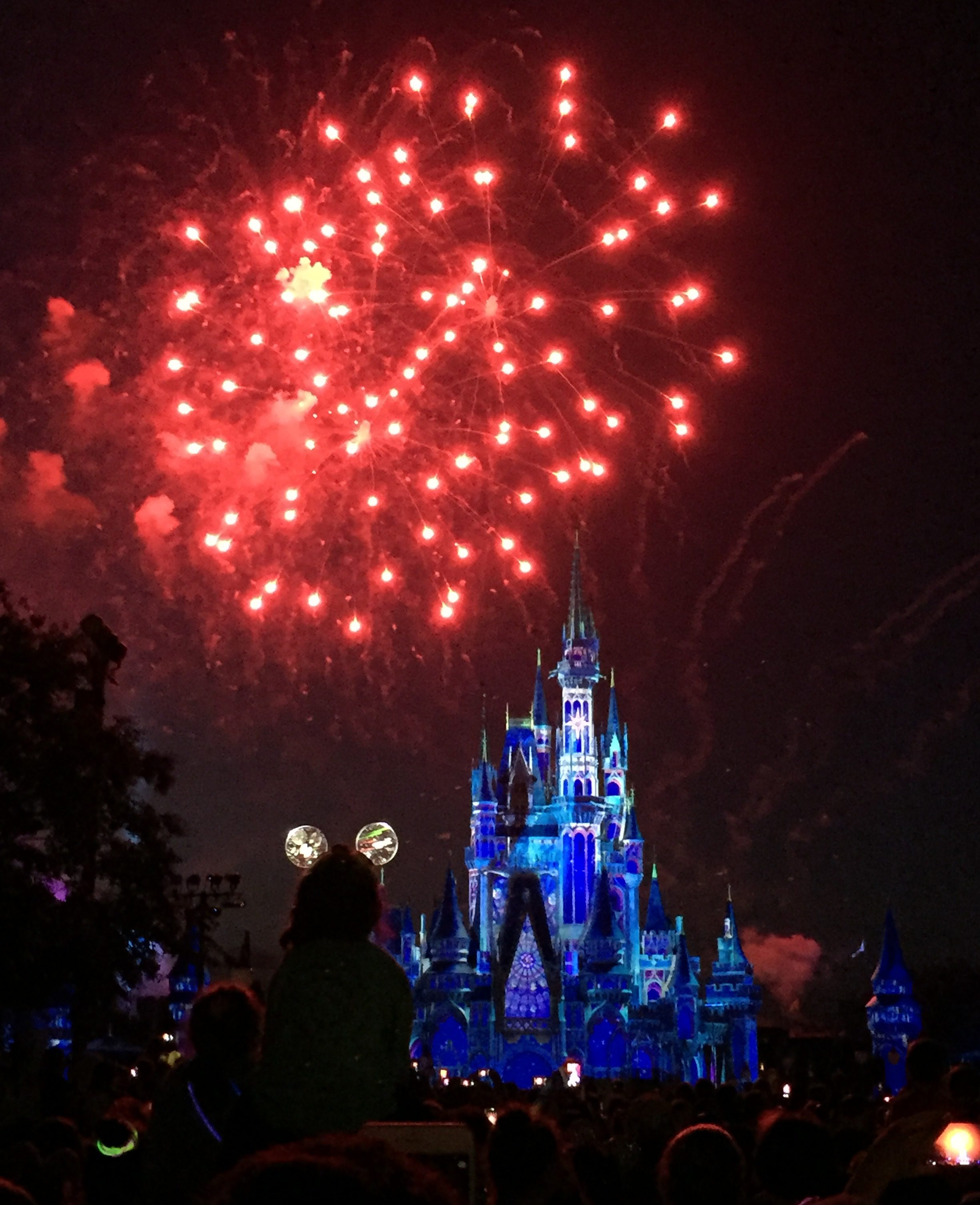 Disney fireworks