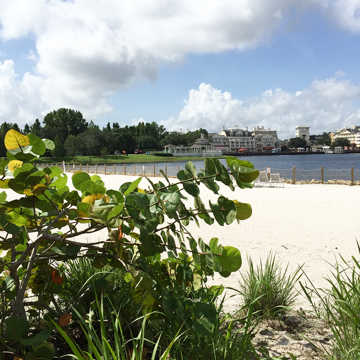 Beach Club view