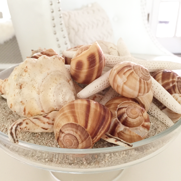 decorating with seashells