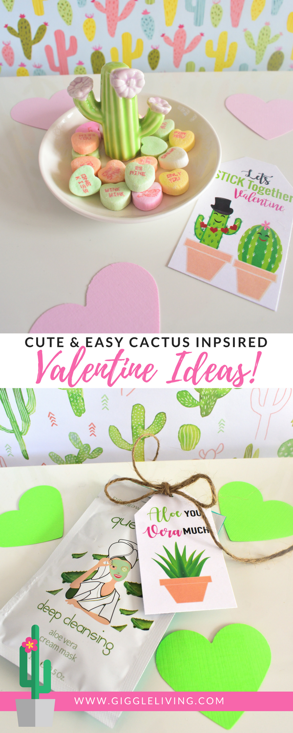 cactus inspired valentine gift ideas