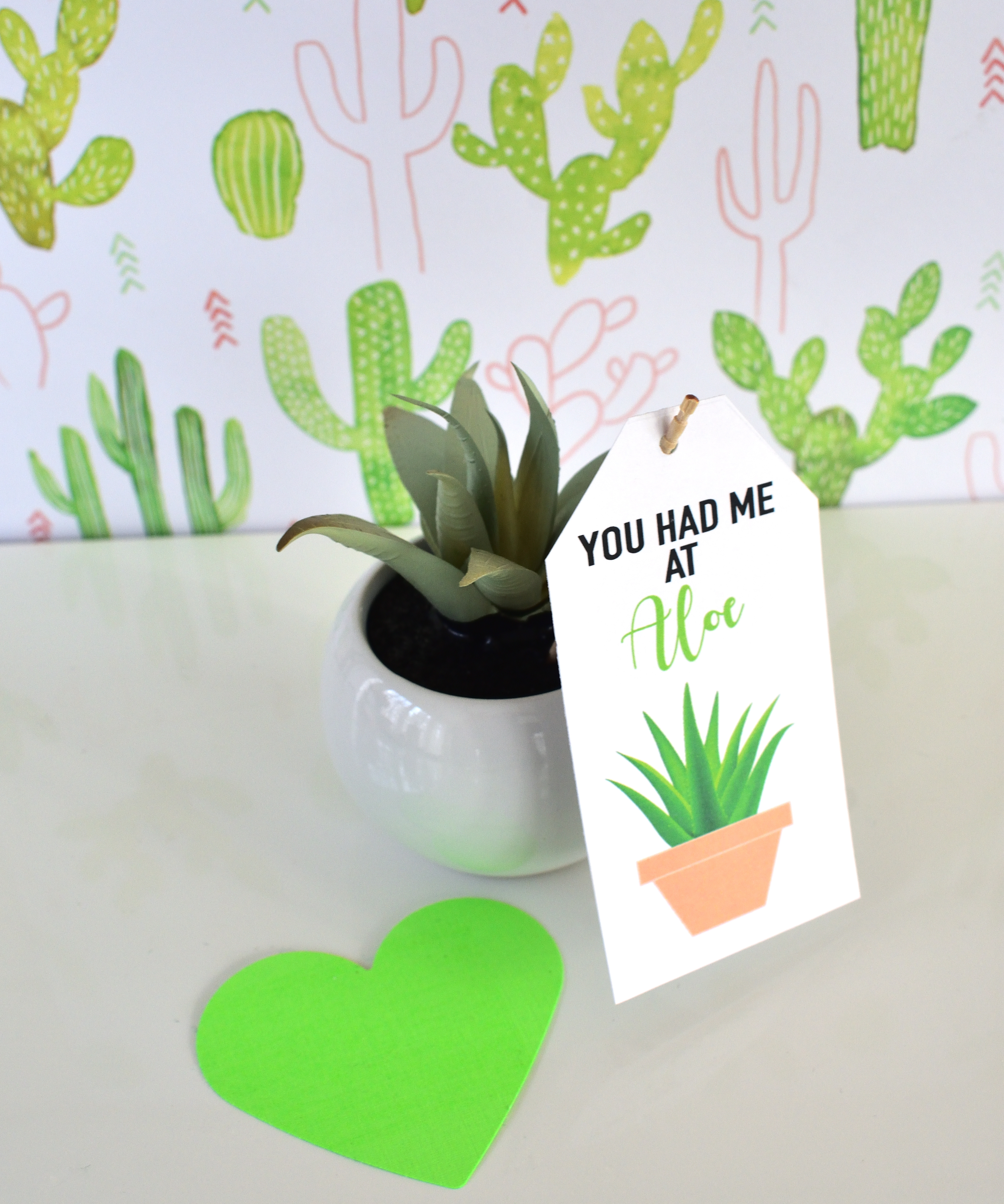 valentine gift ideas aloe planter