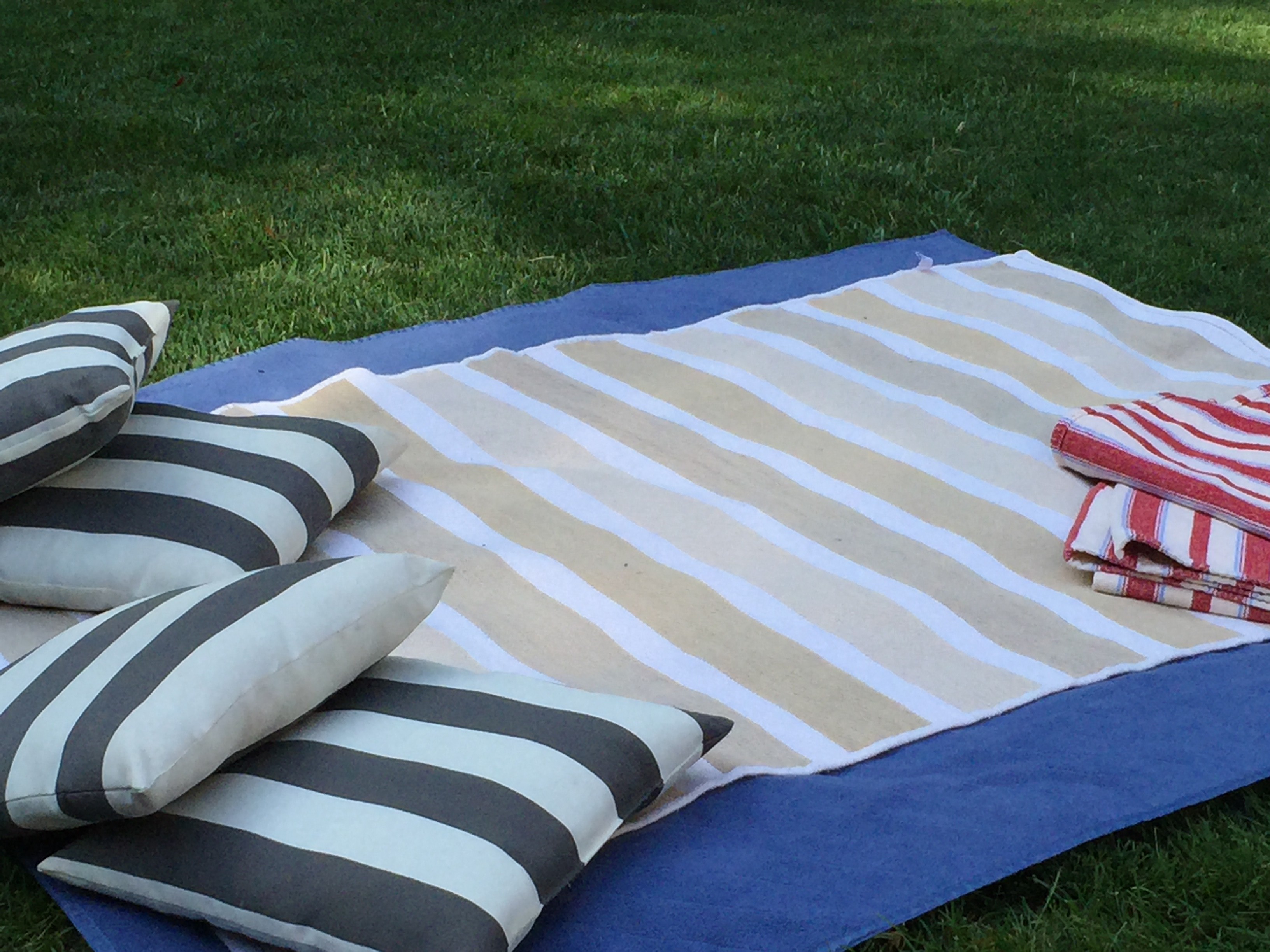 picnic blanket with pillow