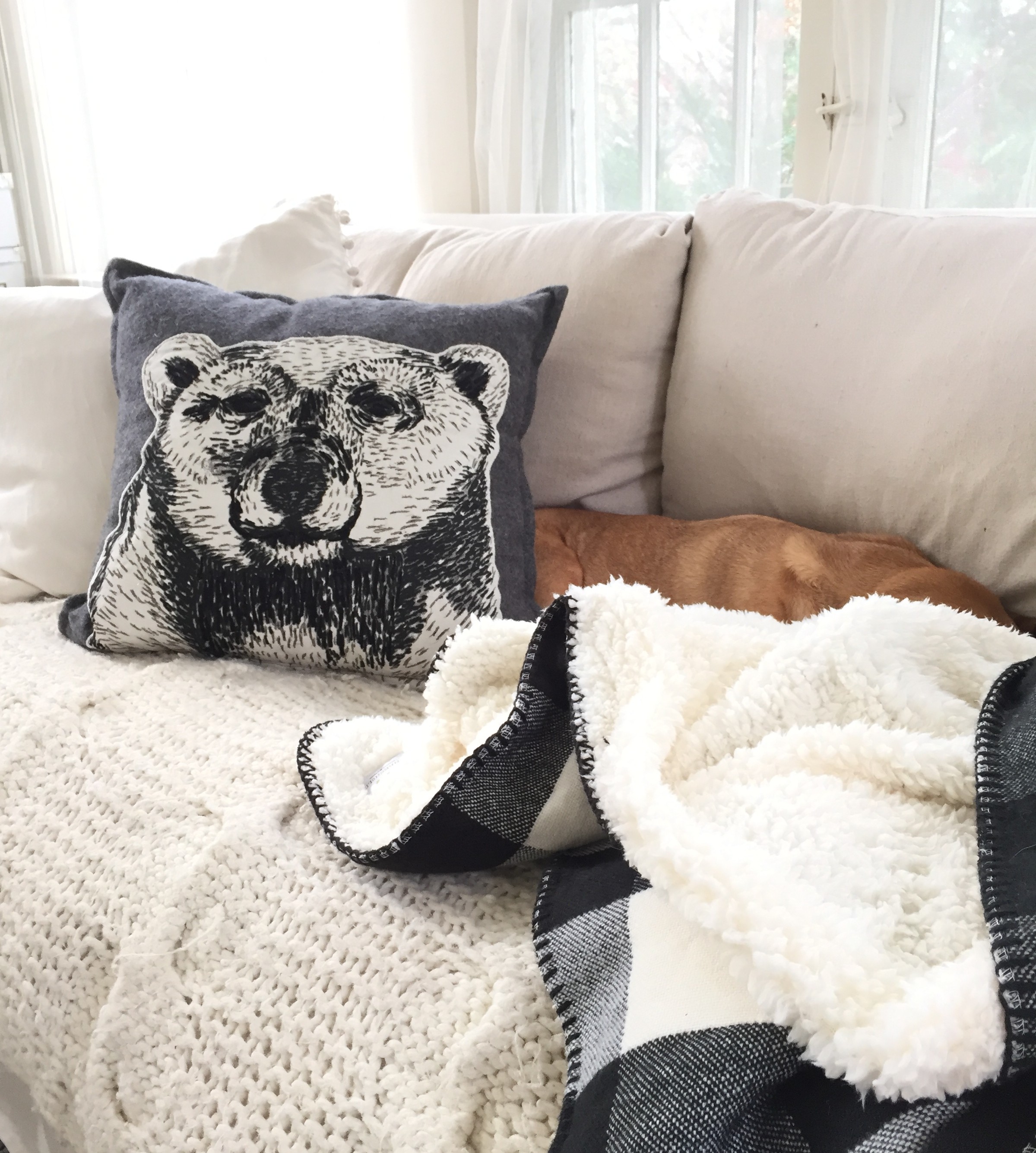 bear sleeping pillow