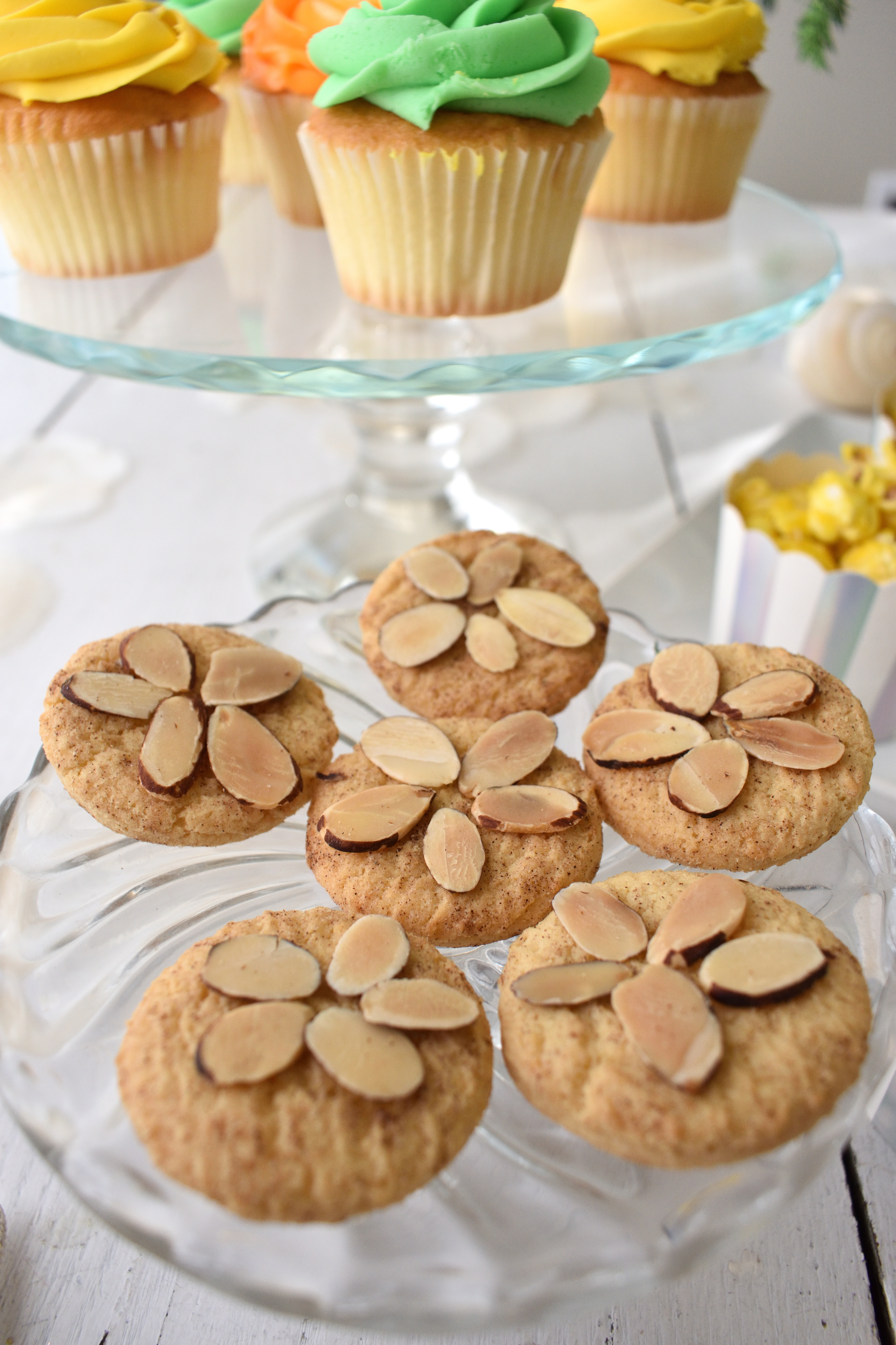 under the sea sand dollar cookies