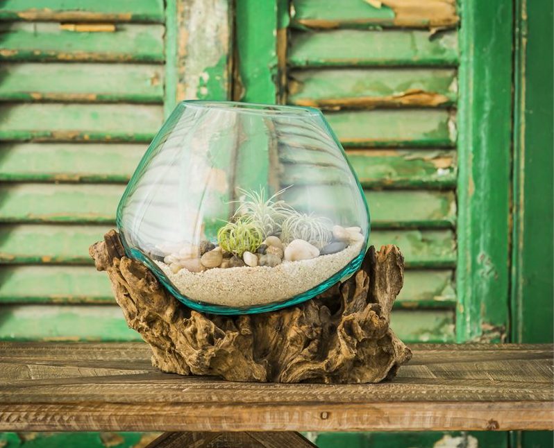 terrarium