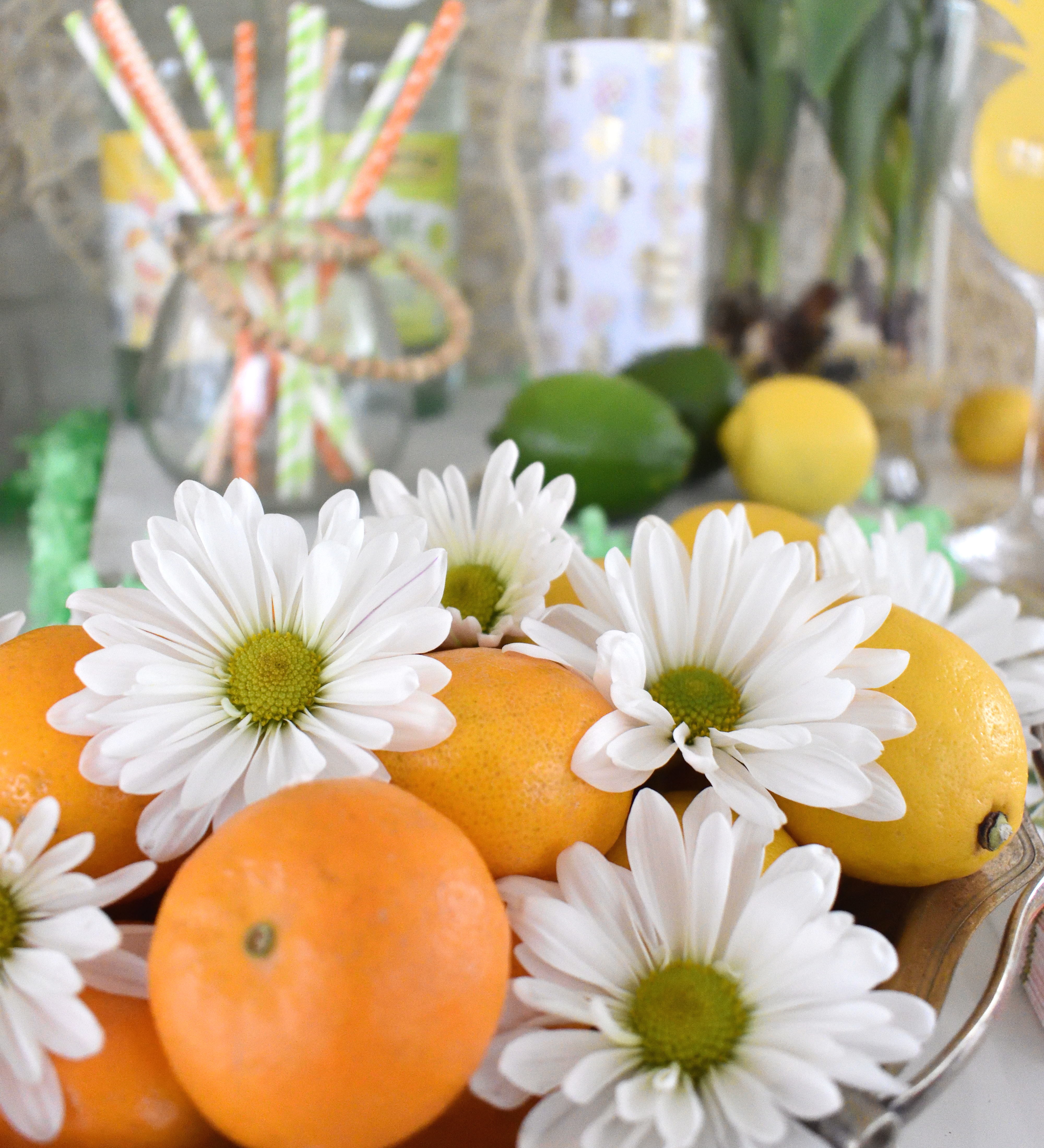 Spring Celebration Ideas Spring Celebration Ideas
