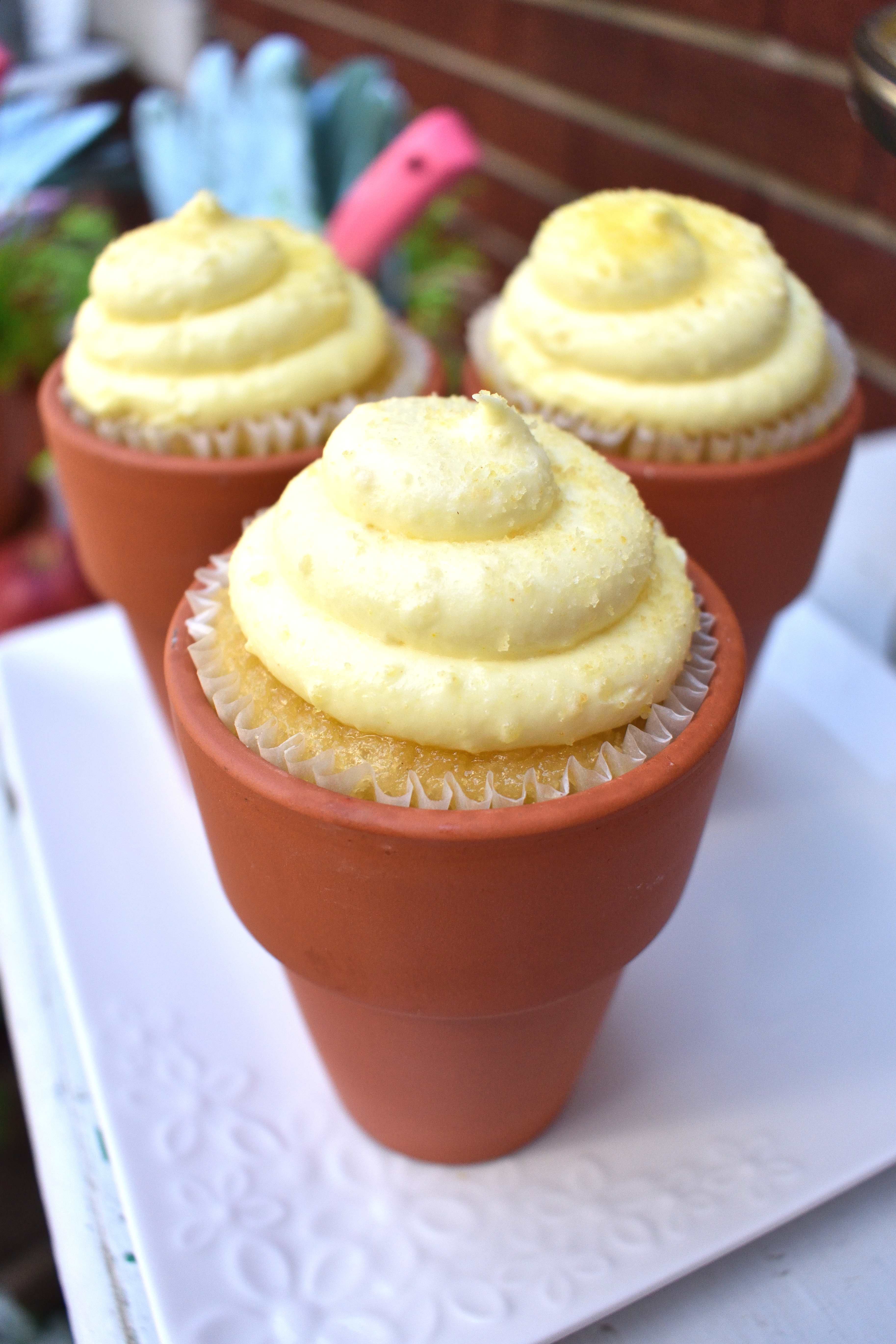 potting party treats