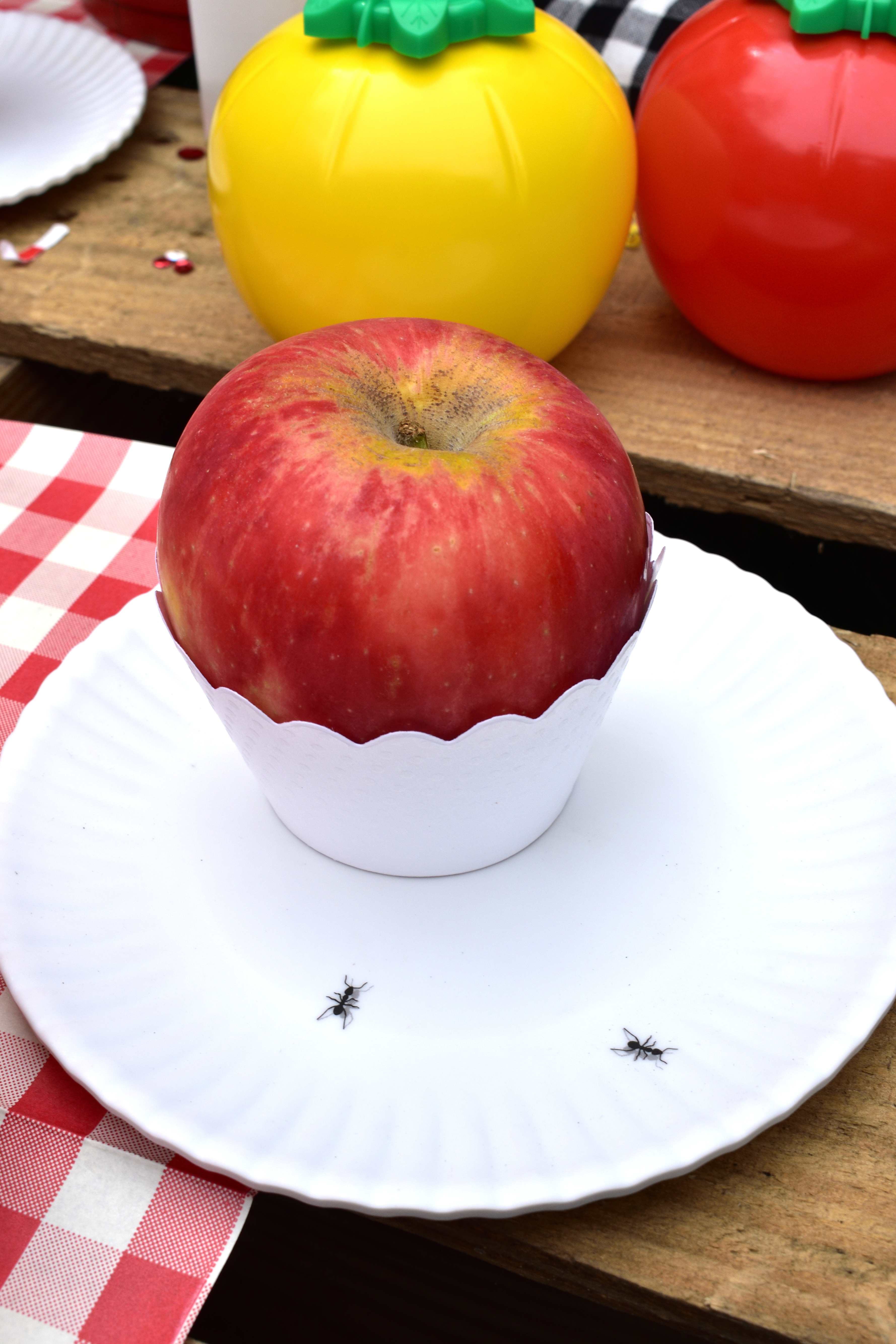 backyard picnic food