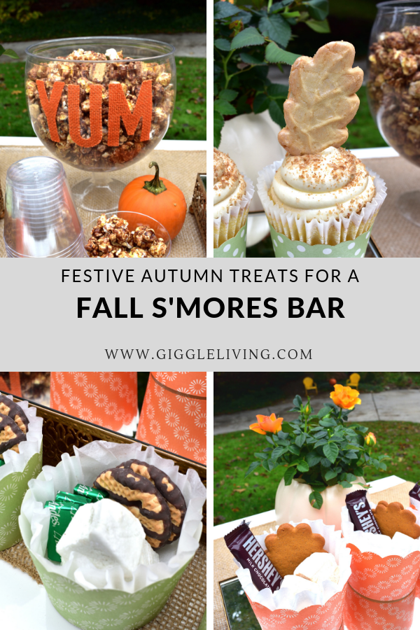 fall s'mores bar