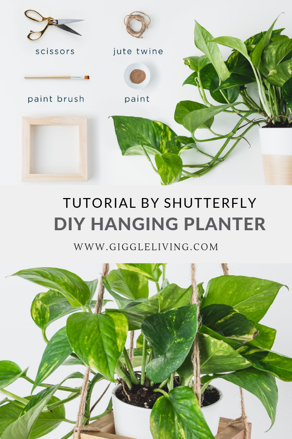 DIY Hanging planter