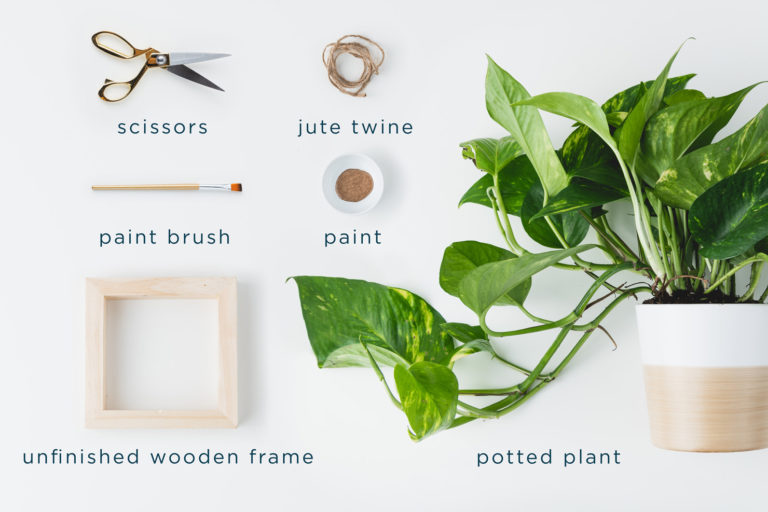 Steps to create a DIY hanging planter to brighten up your home!