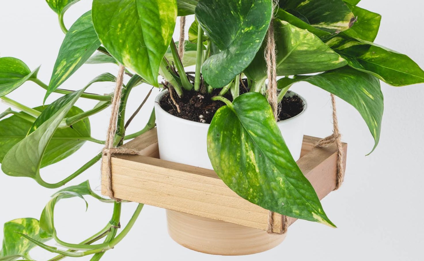 Steps to create a DIY hanging planter to brighten up your home!