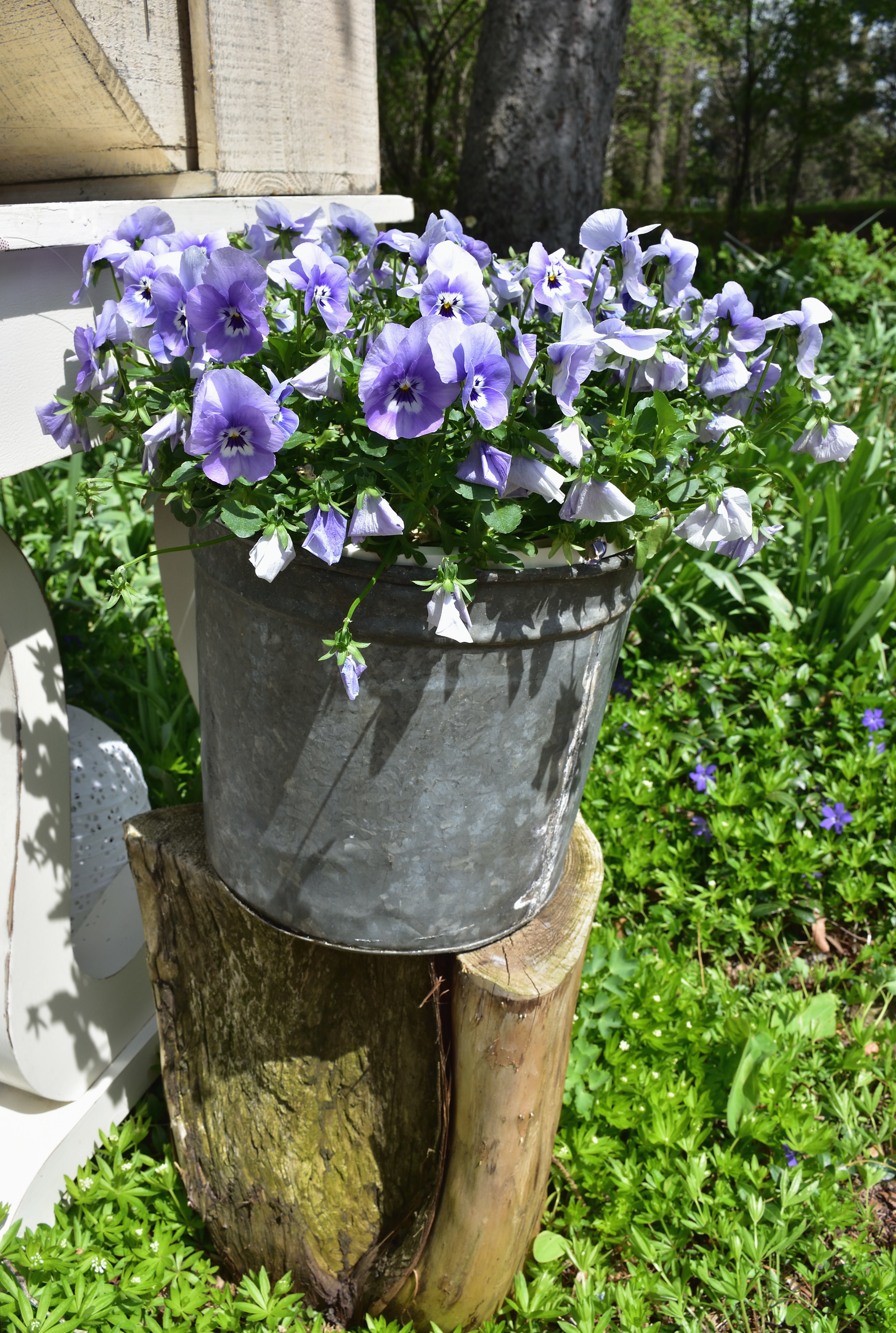 rustic flowers