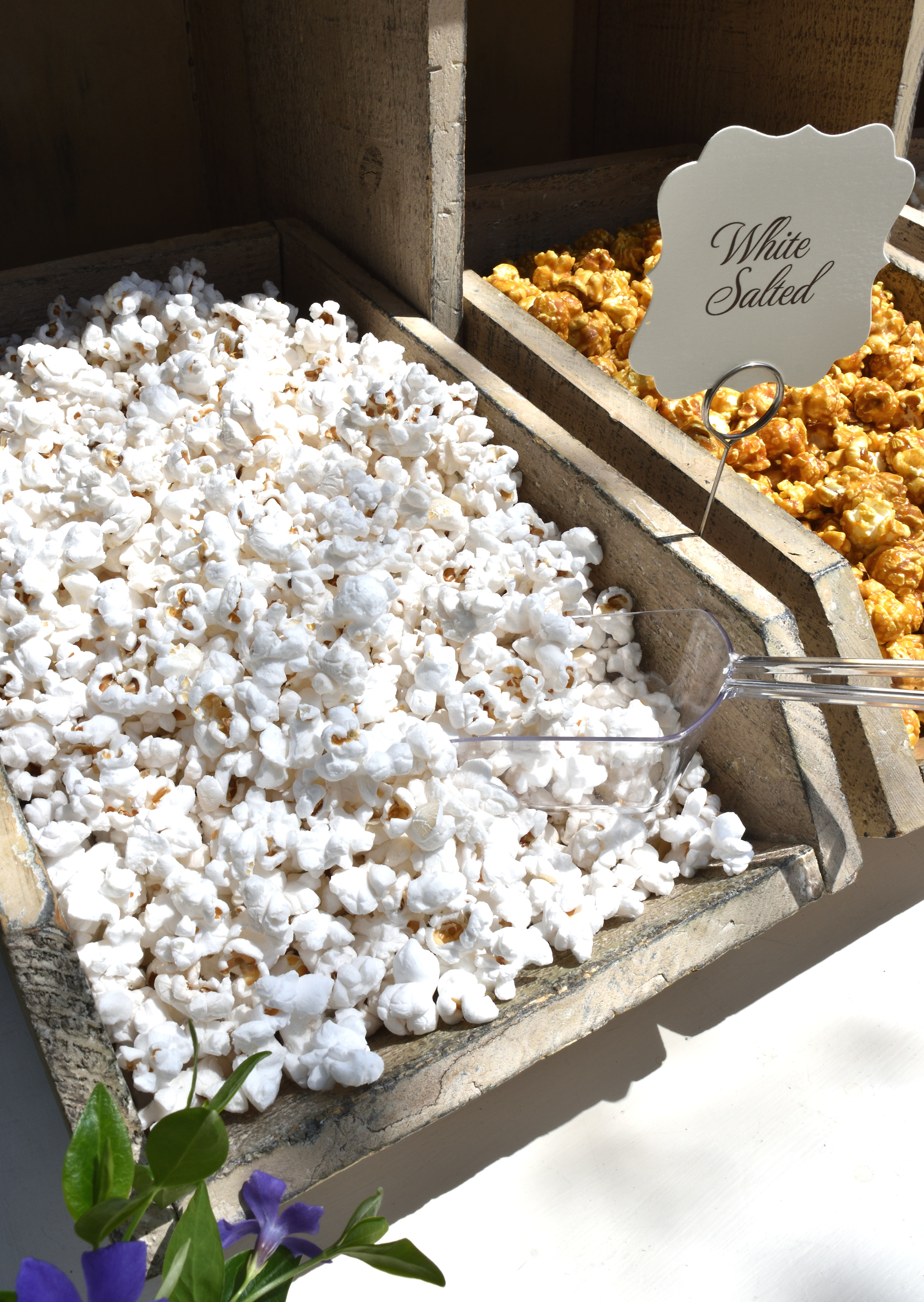 popcorn bar