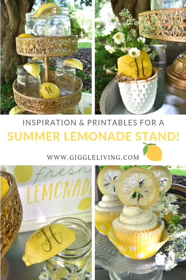 Summer Lemonade Stand Inpsiration