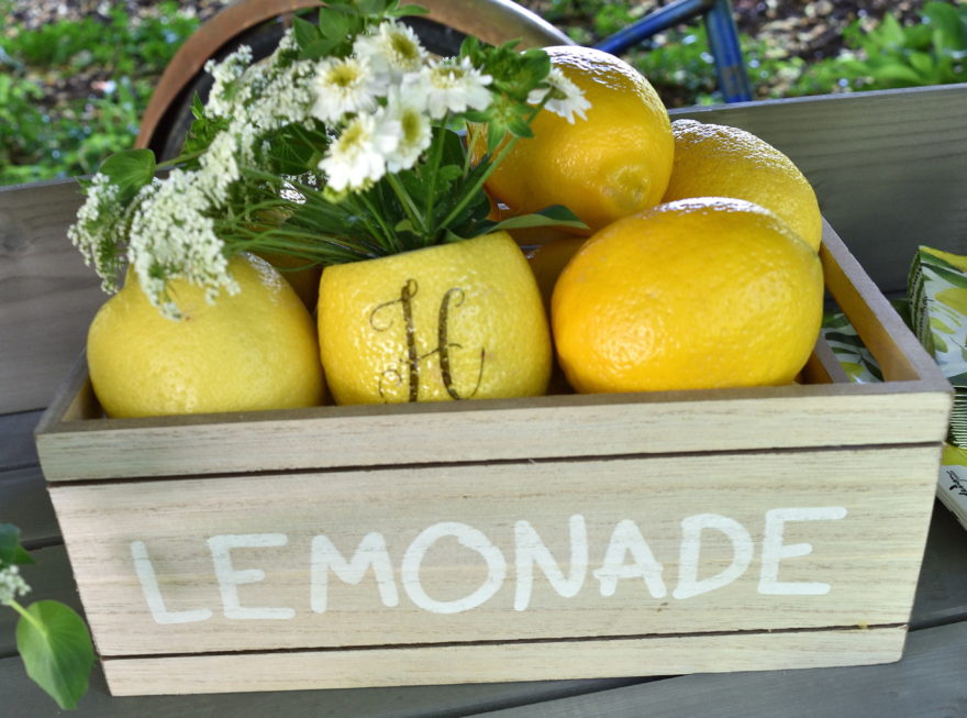 Lemonade Stand Fun For Easy Breezy Summer Entertaining