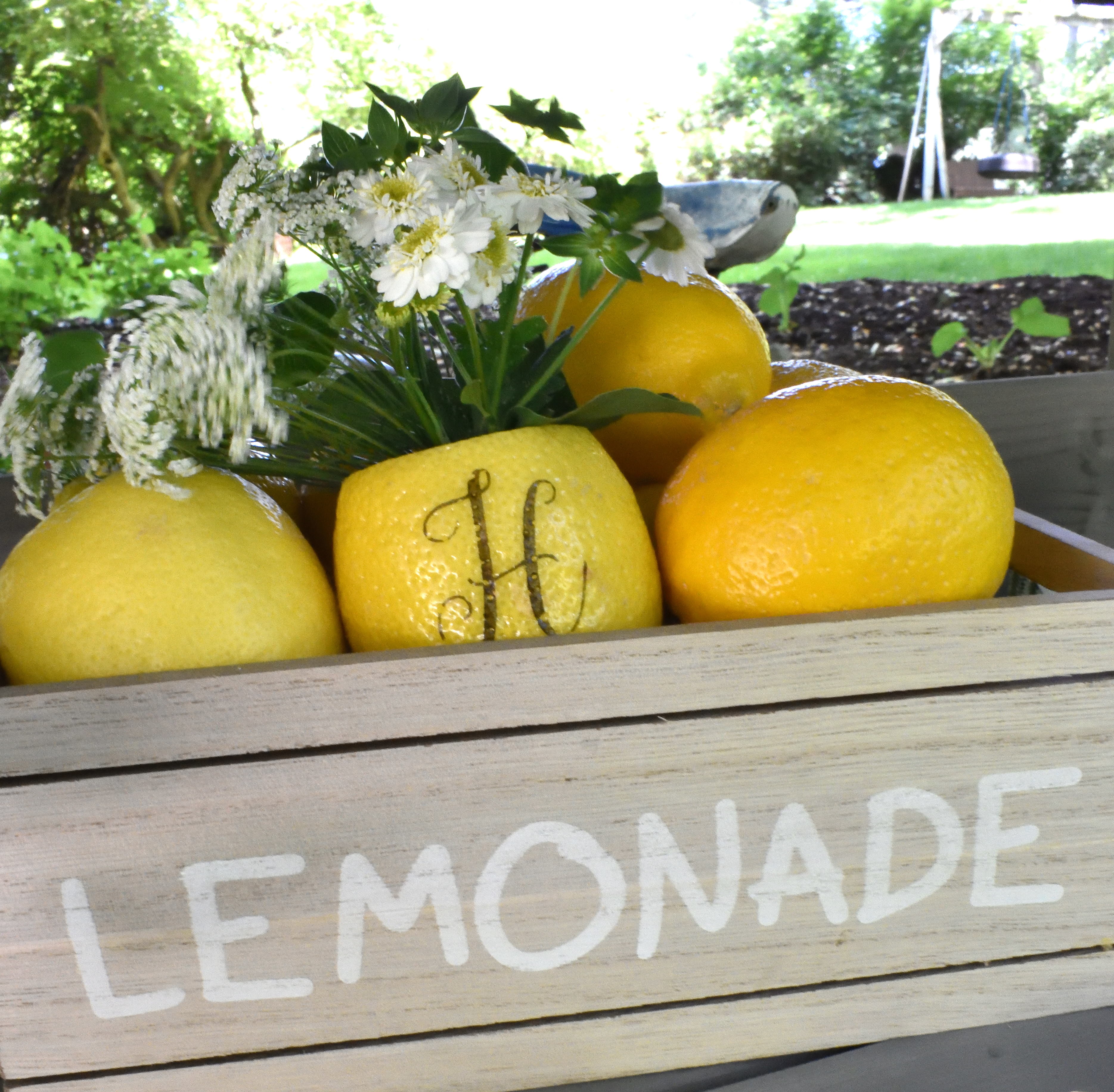 lemonade stand decorations