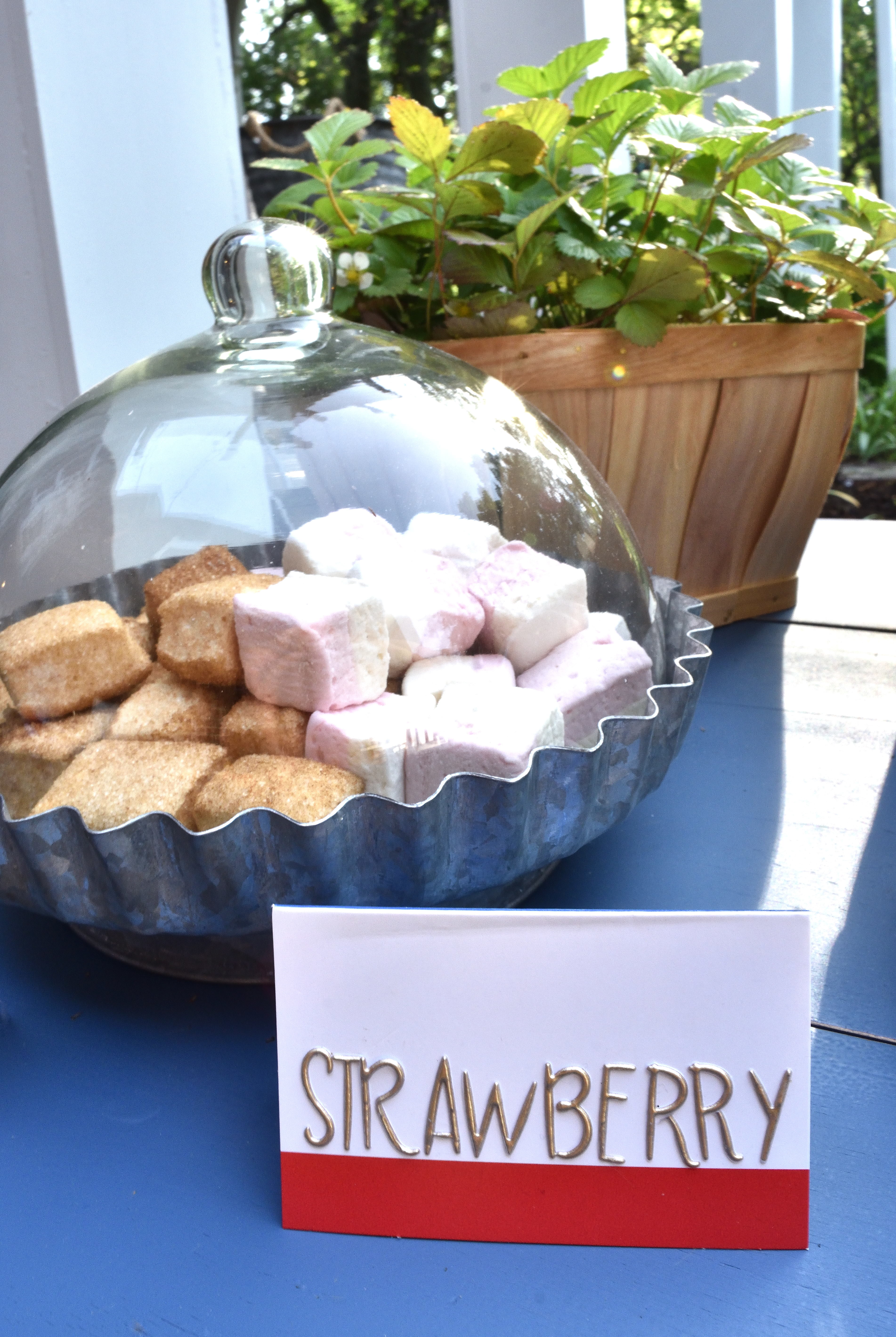 Strawberry s'mores