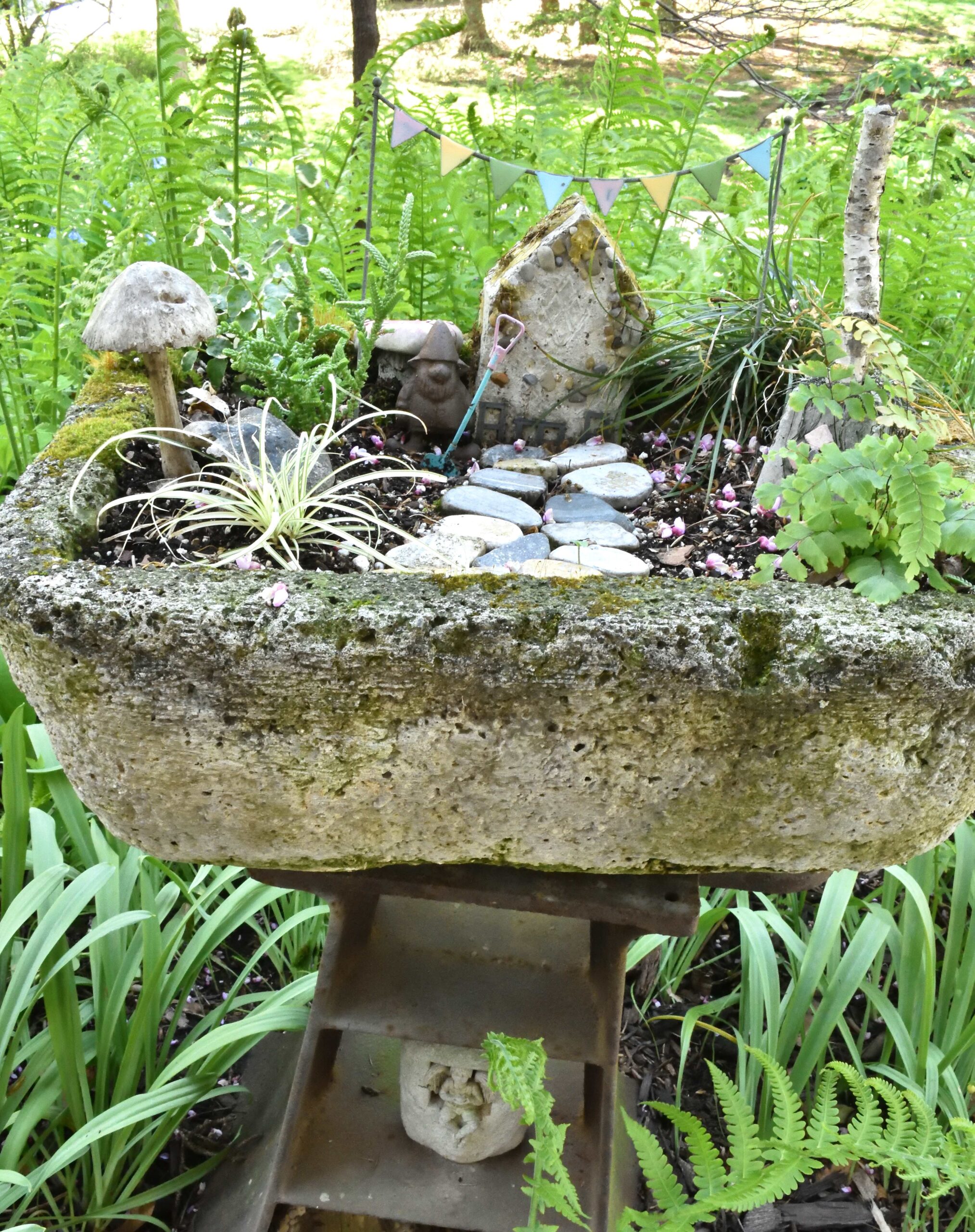 fairy garden