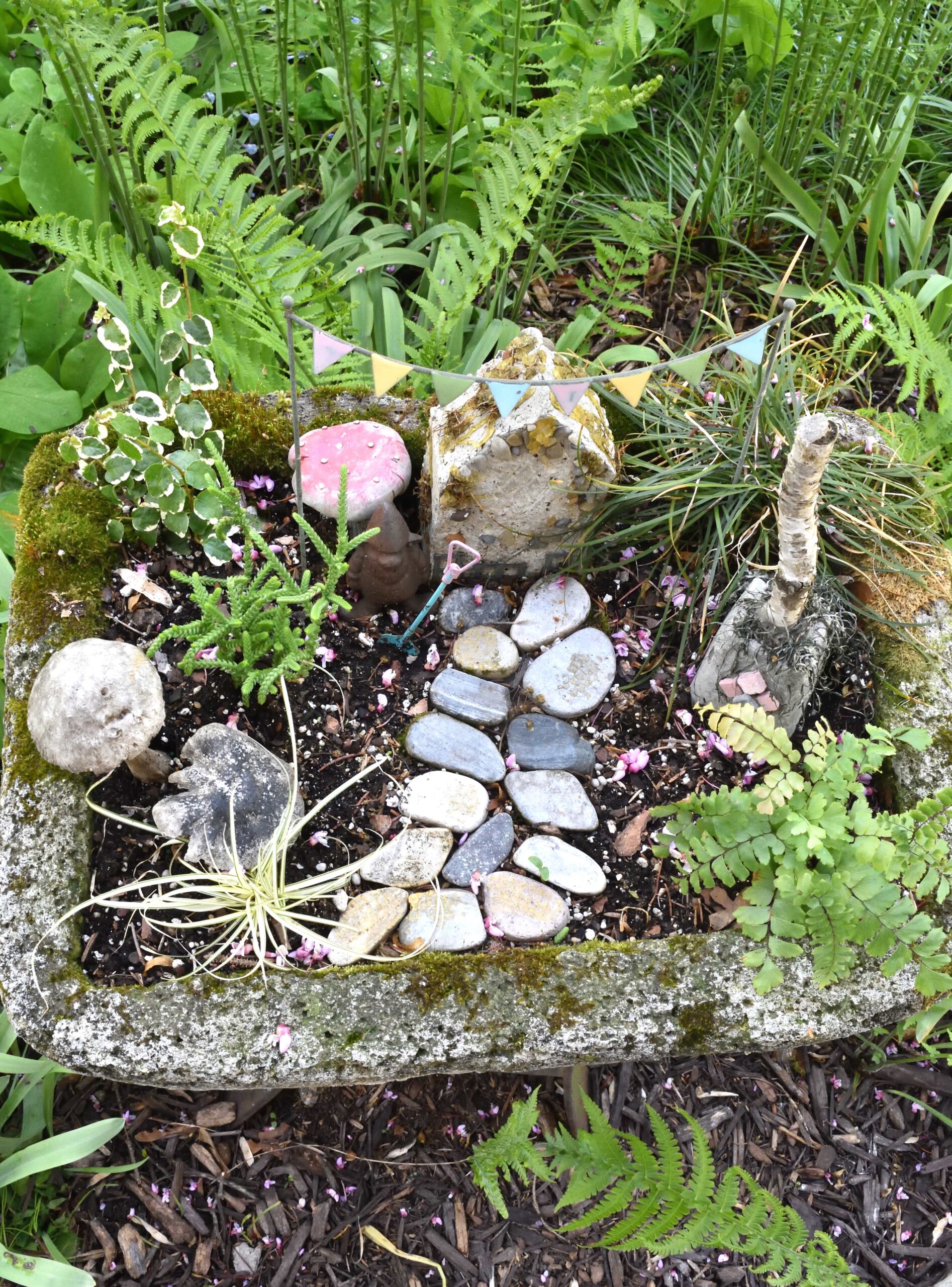 fairy garden ideas