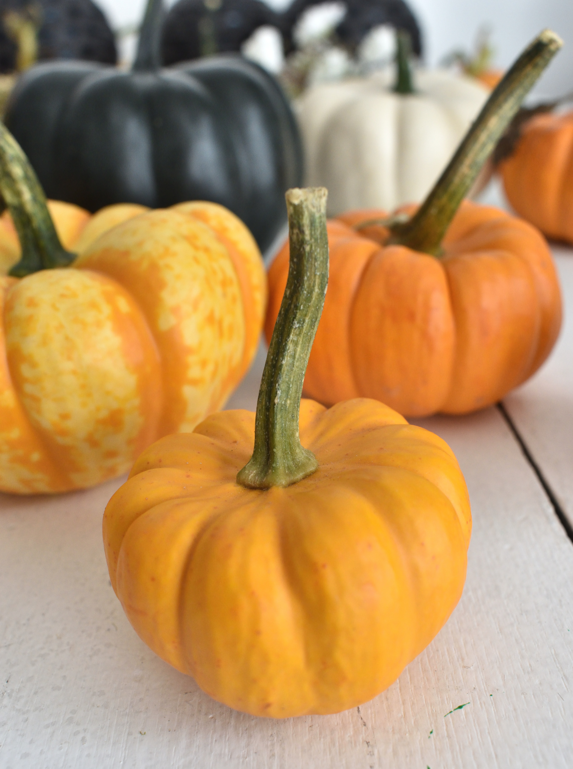 mini pumpkin topiary