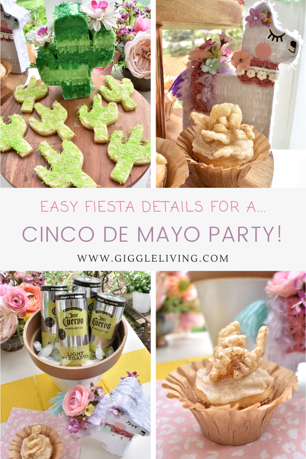 Cinco de Mayo party fun!