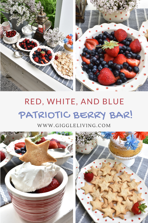Red White and Blue Berry Bar