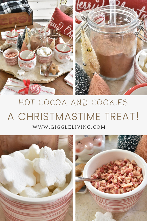 cocoa and cookies for Christmas