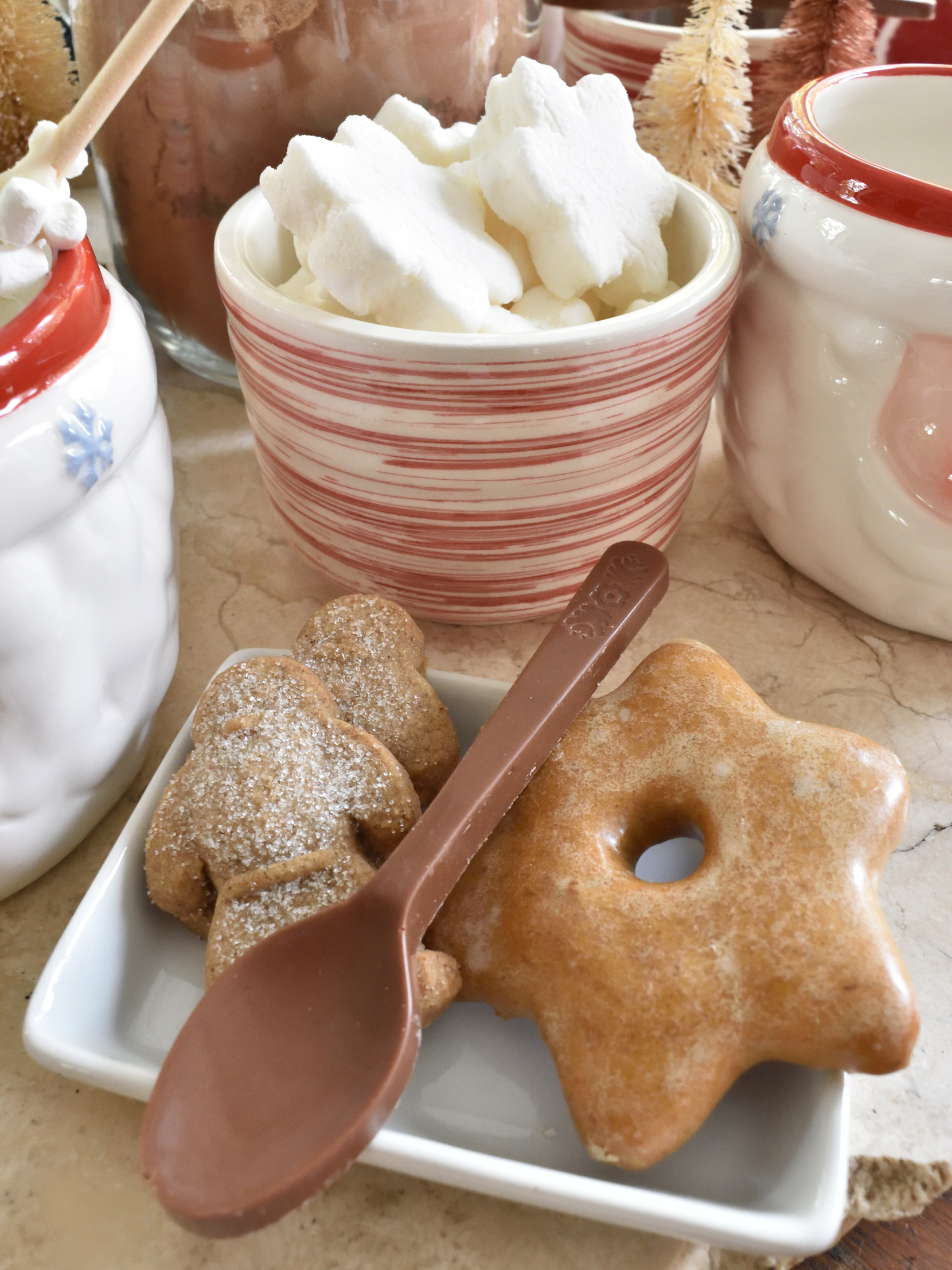 cocoa and cookies for Christmas