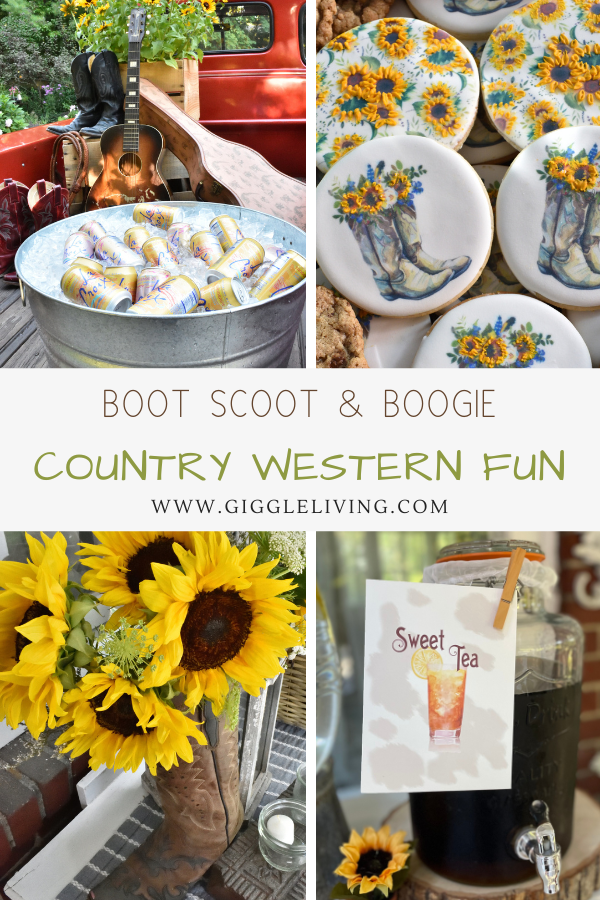 country western party inspiration