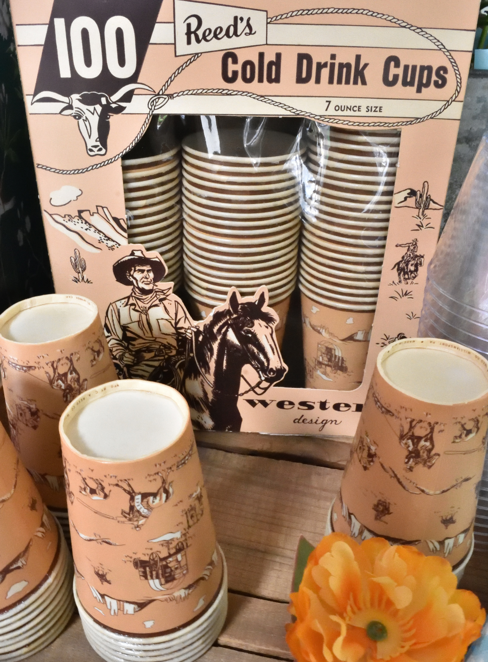country western party supplies