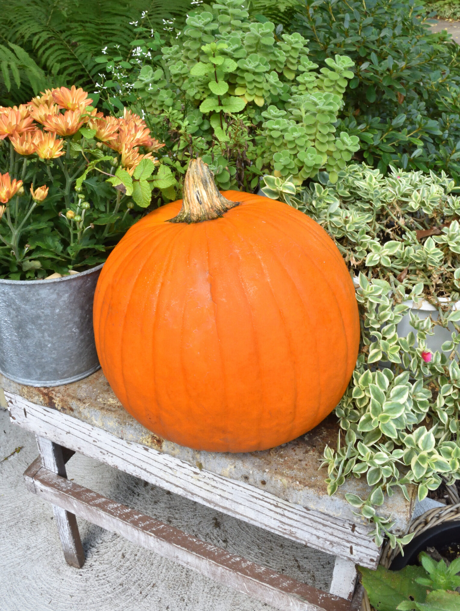 Simple Fall decor