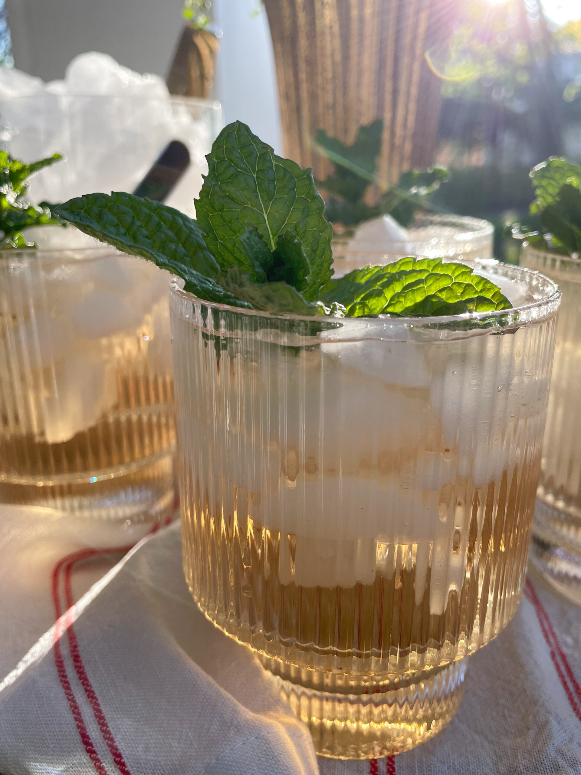 mint julep for derby day