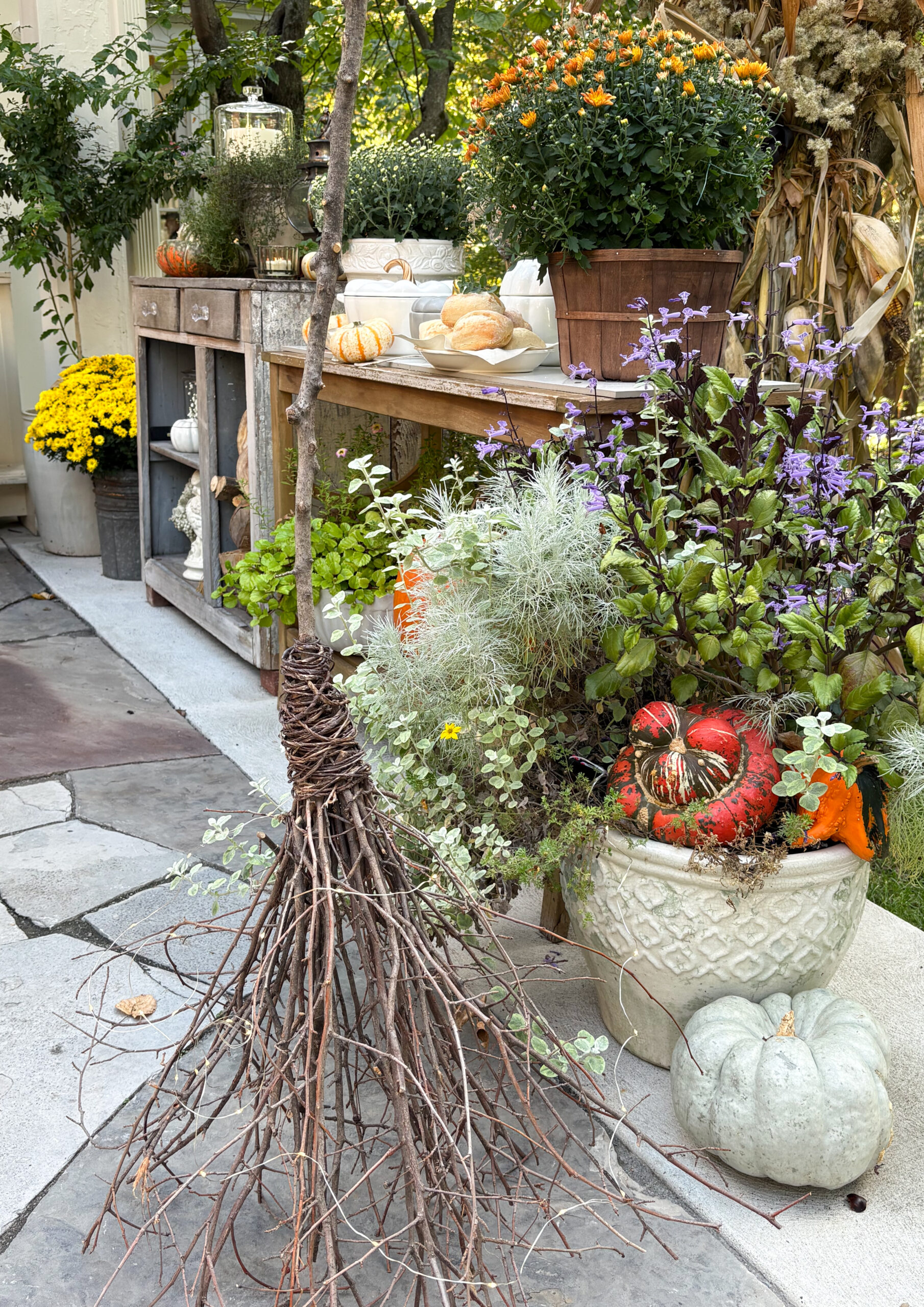 witch theme Halloween ideas