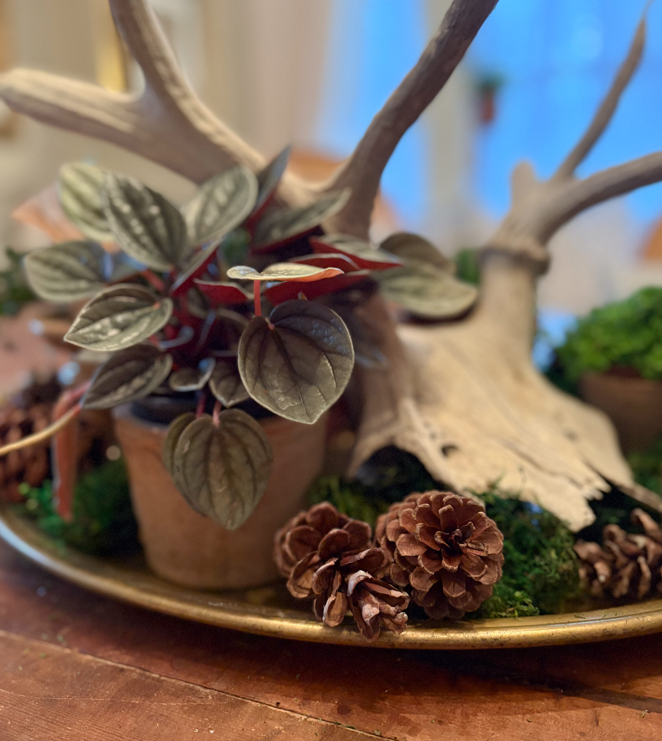 January centerpiece inspiration