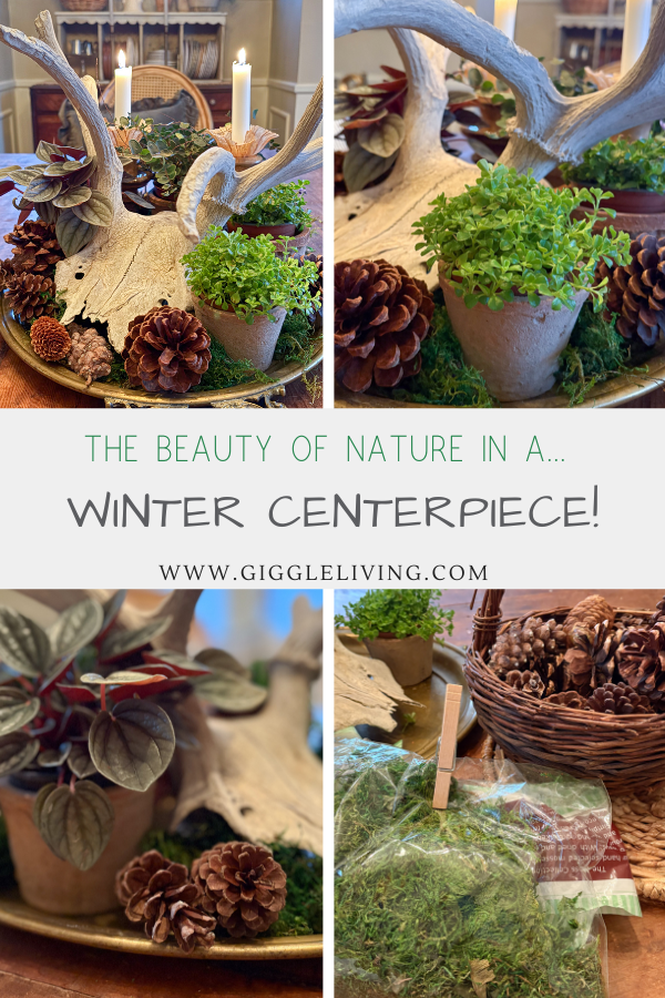 January centerpiece using natural elements